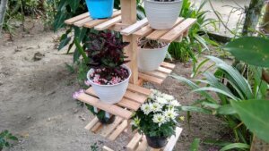DIY gardening and plants